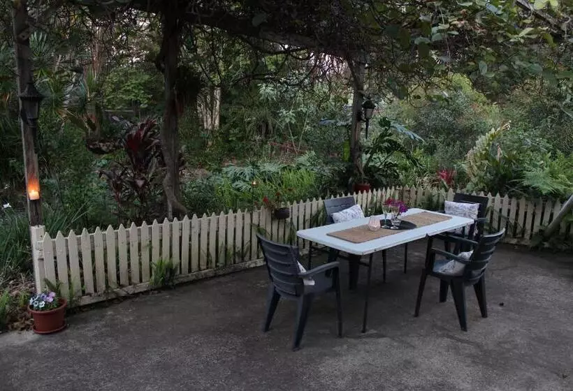 Majatalo Amamoor   Living Waters