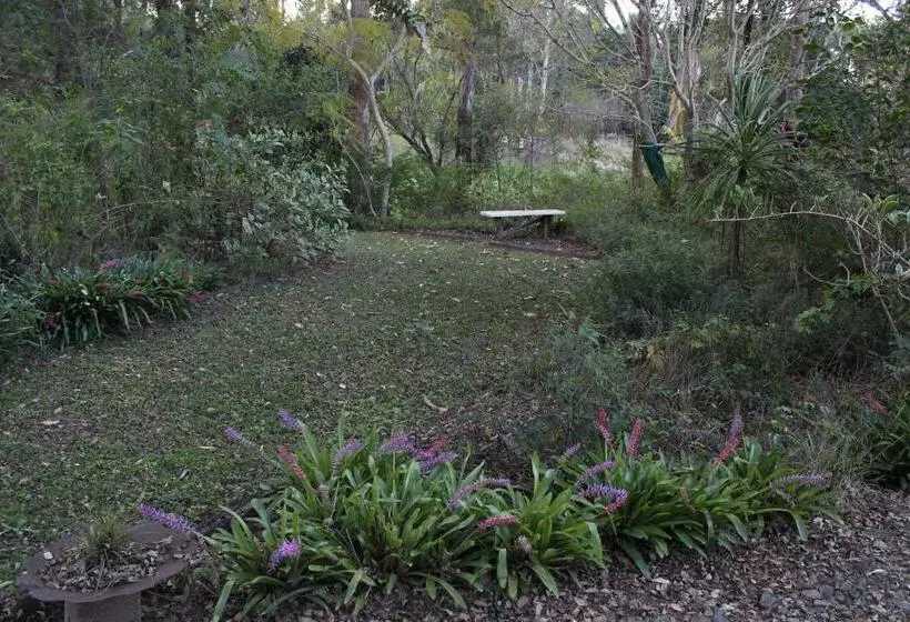 Majatalo Amamoor   Living Waters