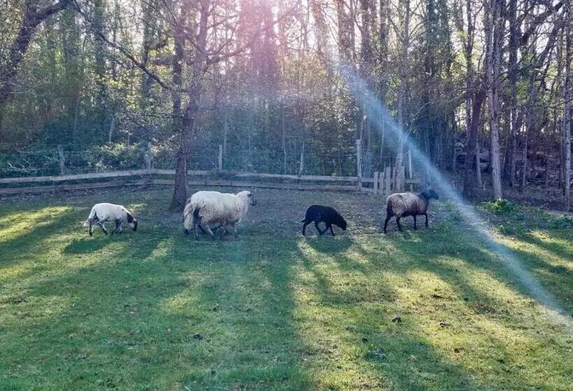 Aamiaismajoitus (B&B) Des Vignes Et Des Songes