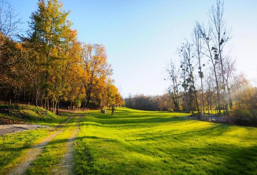 Bed and Breakfast Des Vignes Et Des Songes