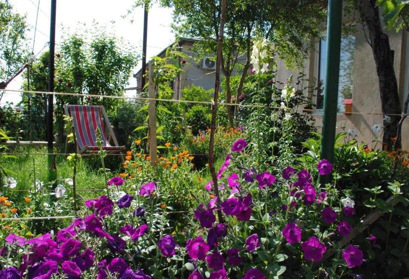 پانسیون Daduna S House