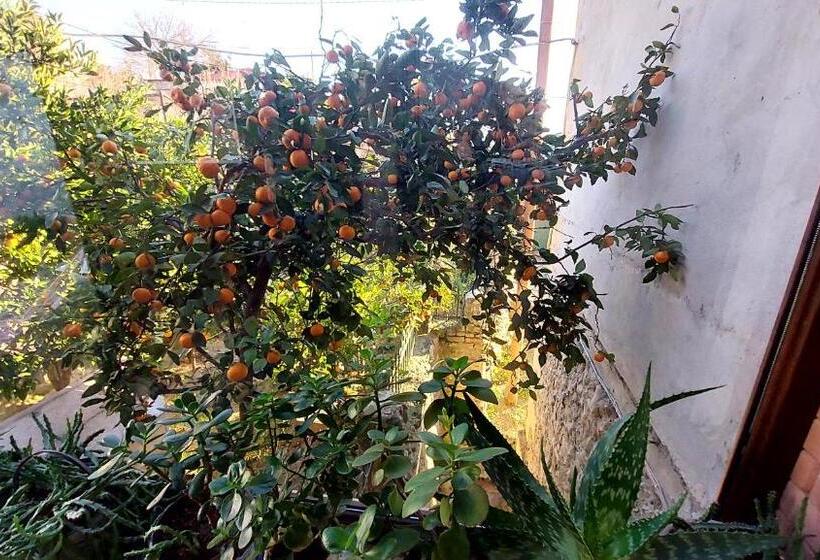 پانسیون Daduna S House