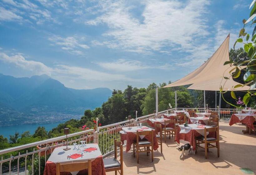 Pet Friendly Hotel Mirabeau