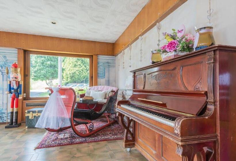 Pet Friendly Hotel Mirabeau