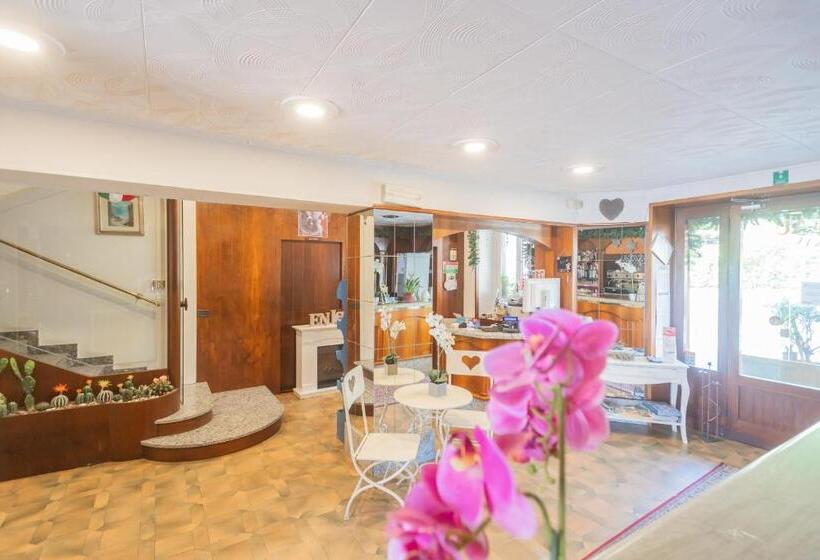 Pet Friendly Hotel Mirabeau