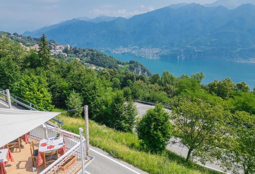 Pet Friendly Hotel Mirabeau