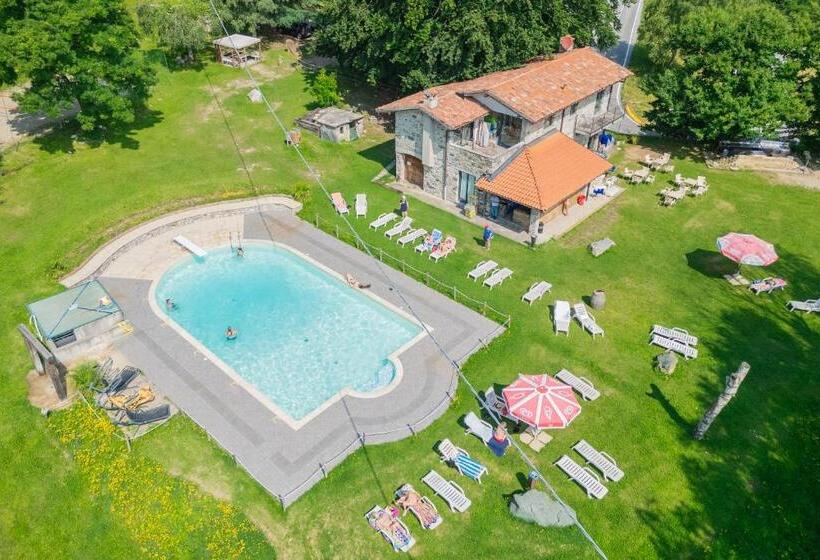 Pet Friendly Hotel Mirabeau