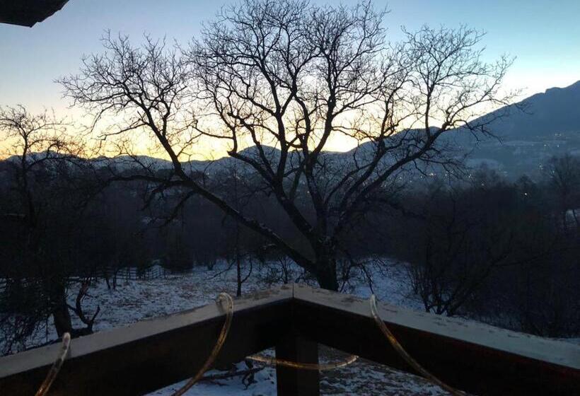 Pensiunea Bella Predelut