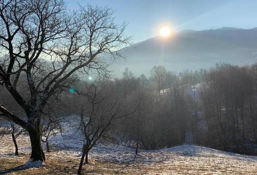 Pensiunea Bella Predelut