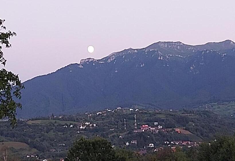 Pensiunea Bella Predelut