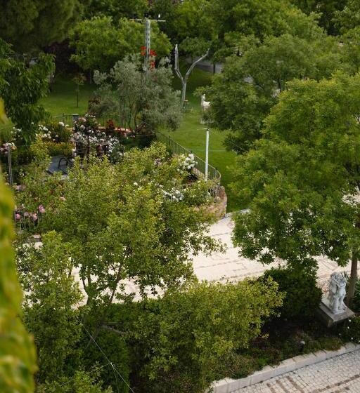 Resort Palacio Arudecas