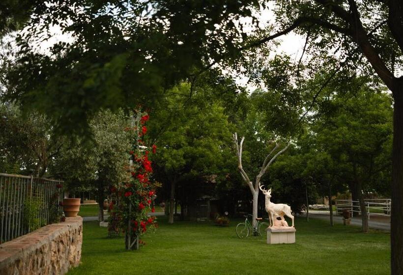 Resort Palacio Arudecas