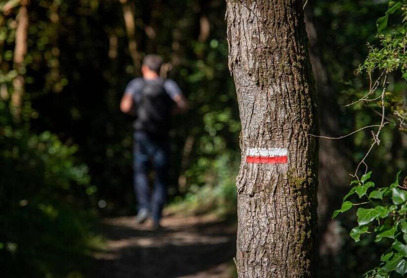 Bed and Breakfast La Villa Blanche   18 Personnes