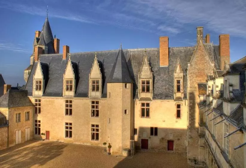 ベッドアンドブレックファースト Chateau De Durtal