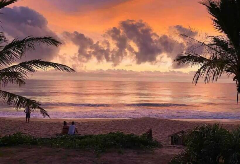 פנסיון Suite Casa Mamazoo Fechada