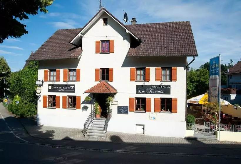 Hotelli Grüner Baum