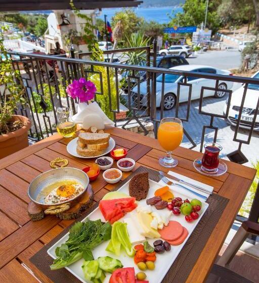 בית מלון כפרי Lale