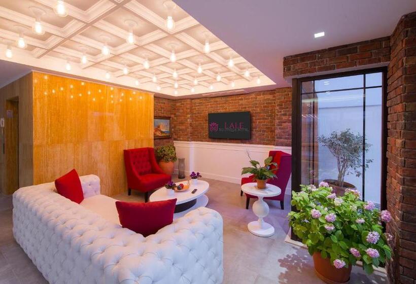 בית מלון כפרי Lale