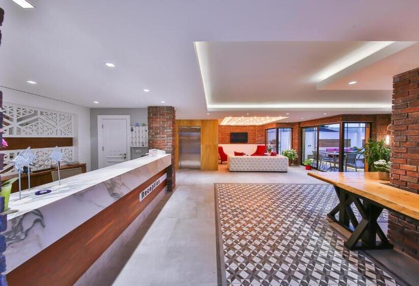 בית מלון כפרי Lale