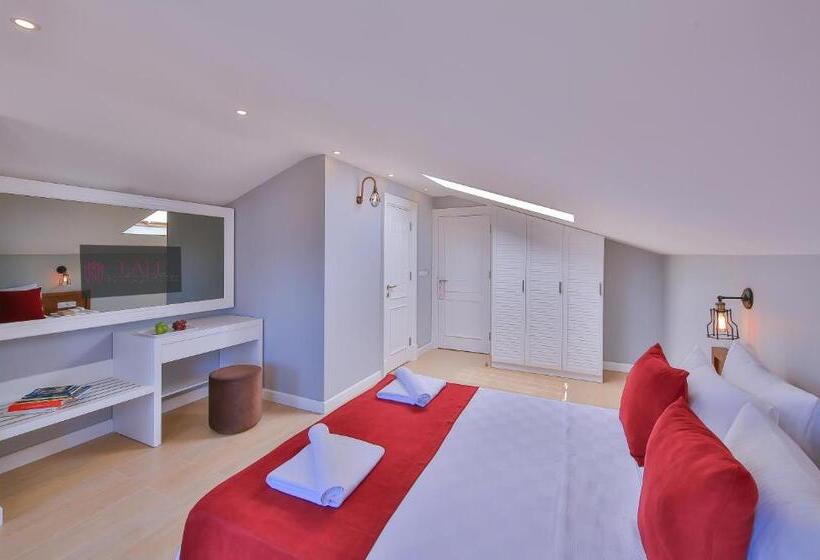 בית מלון כפרי Lale