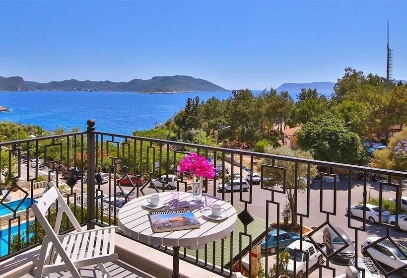 בית מלון כפרי Lale