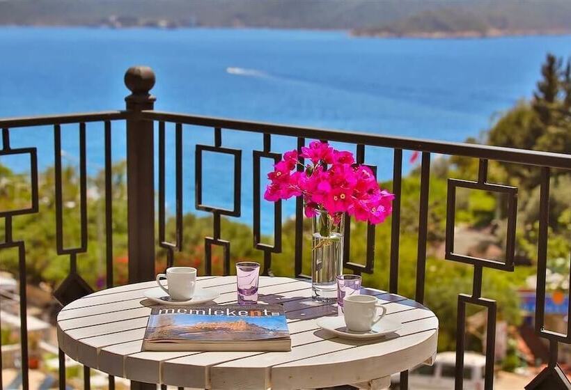 בית מלון כפרי Lale