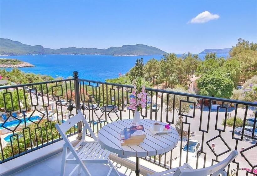 בית מלון כפרי Lale