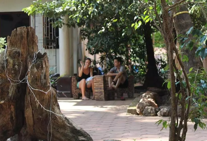 The Peace Hostel   Arambol, Goa
