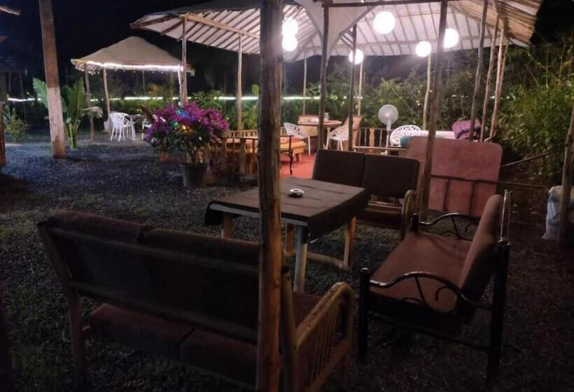 The Peace Hostel   Arambol, Goa