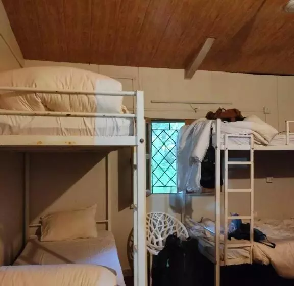 The Peace Hostel   Arambol, Goa