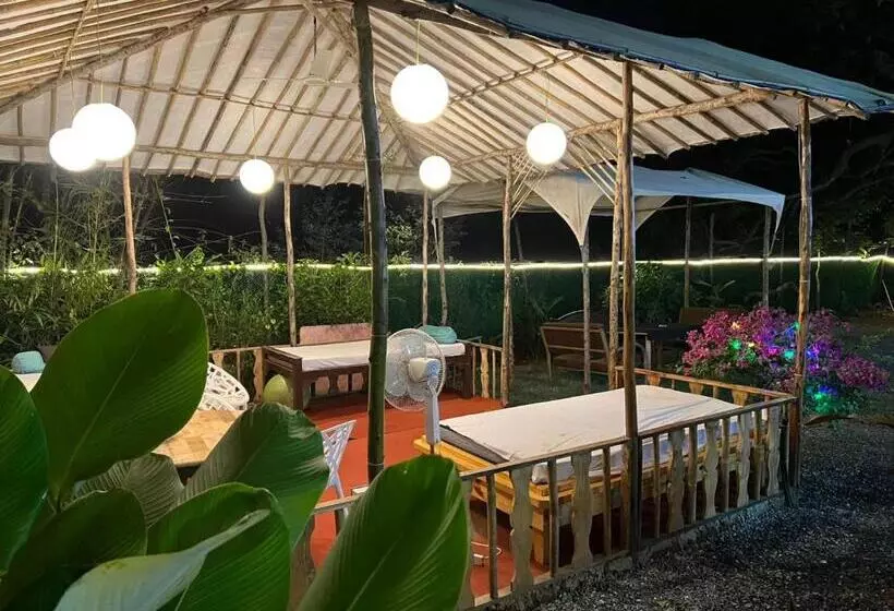 The Peace Hostel   Arambol, Goa