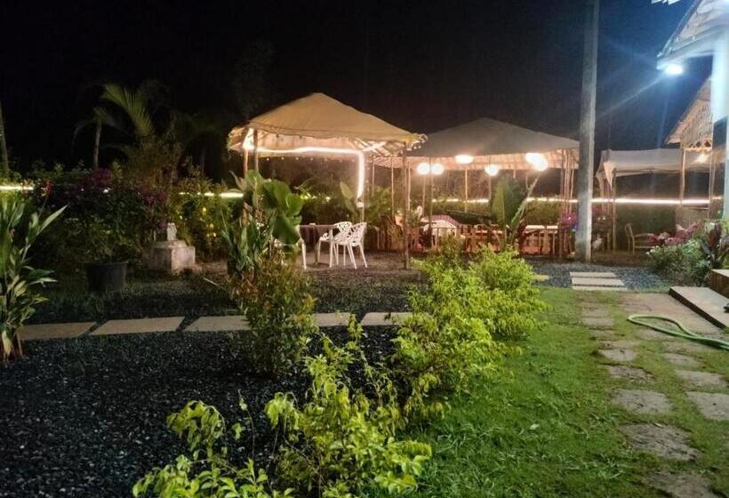 The Peace Hostel   Arambol, Goa