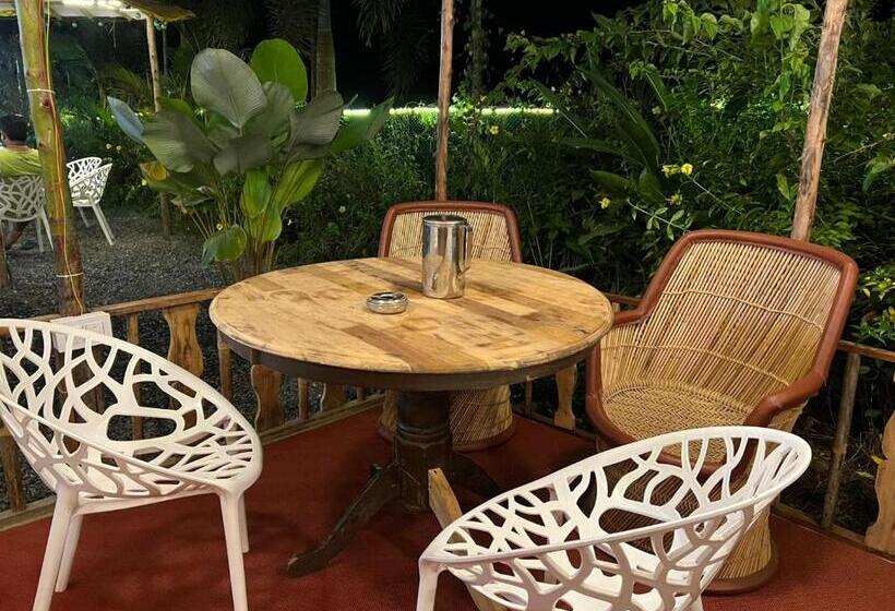 The Peace Hostel   Arambol, Goa