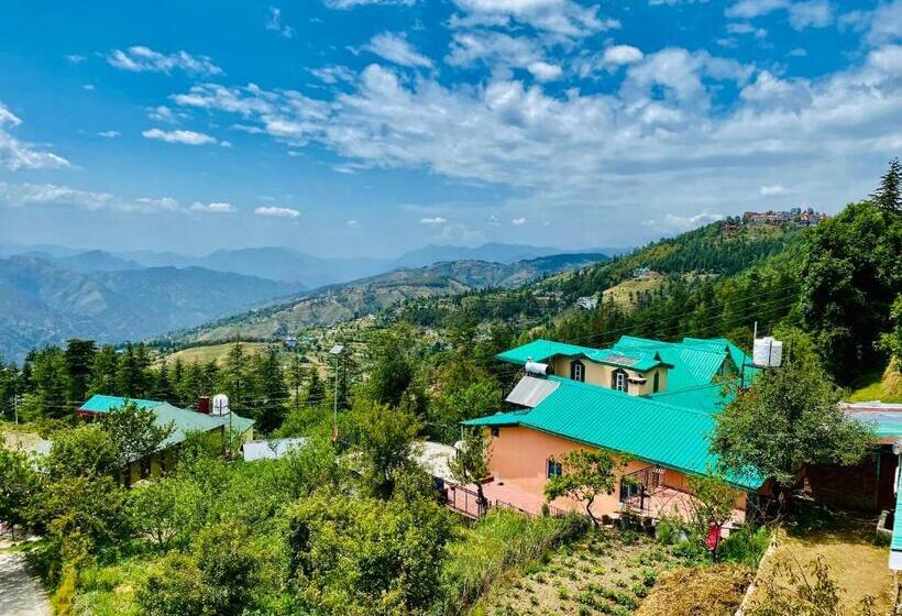 Hotel Royal Green Mashobra Mountain And Valley View Rooms