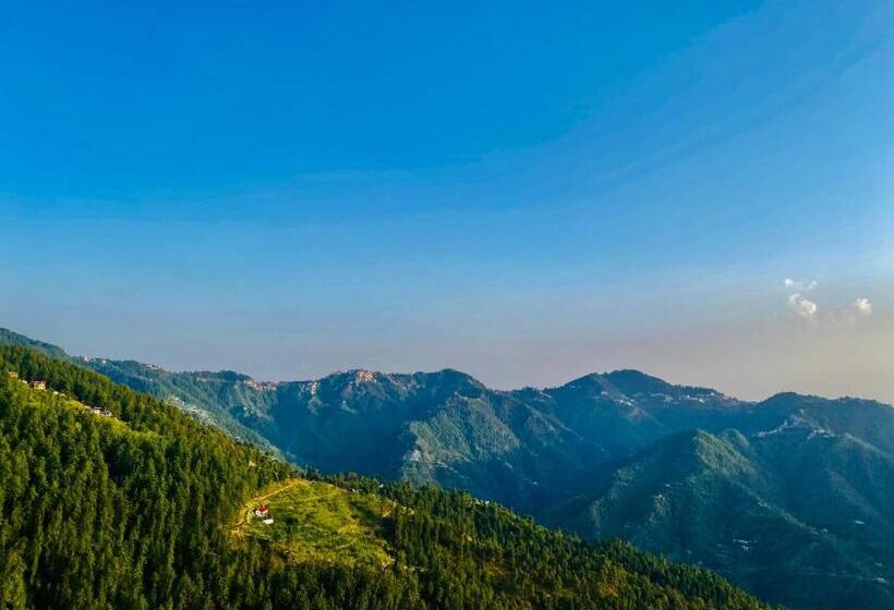 Hotel Royal Green Mashobra Mountain And Valley View Rooms