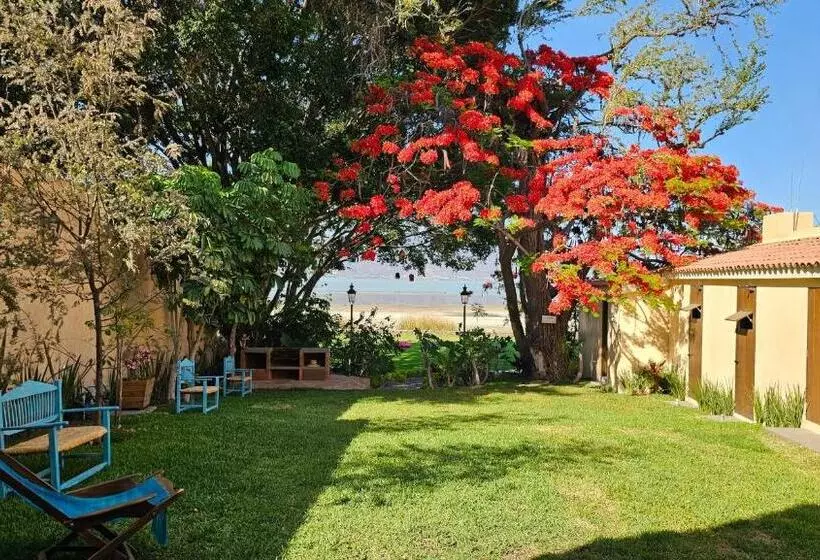 Real San Pedro. Hotel Boutique