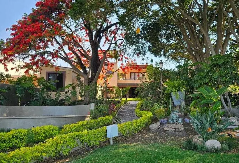 Real San Pedro. Hotel Boutique