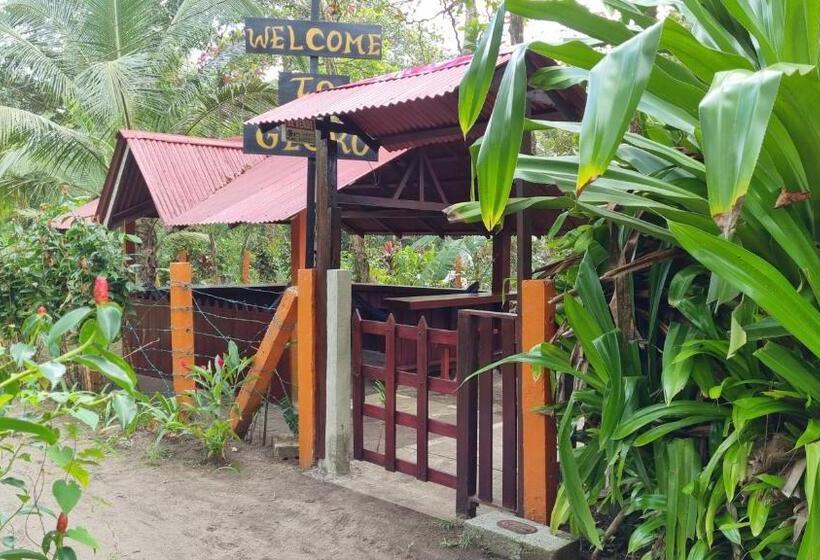 تختخواب و صبحانه Gecko De Tortuguero