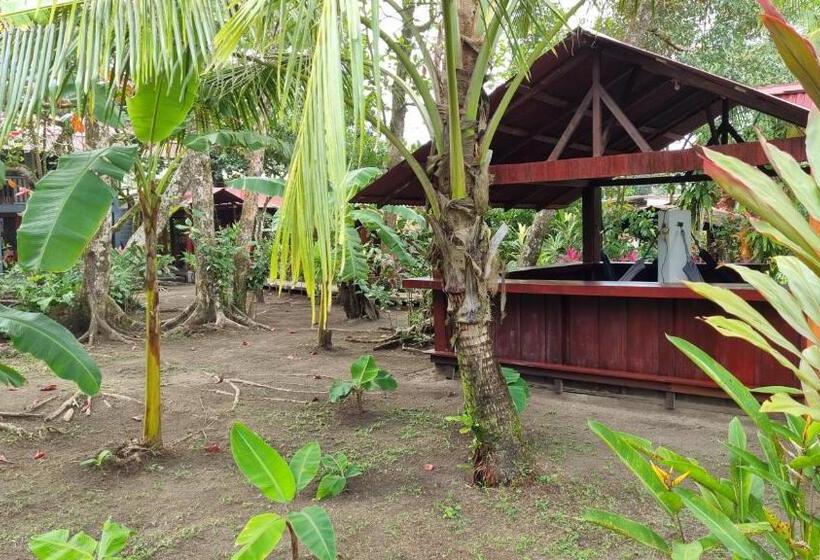 تختخواب و صبحانه Gecko De Tortuguero