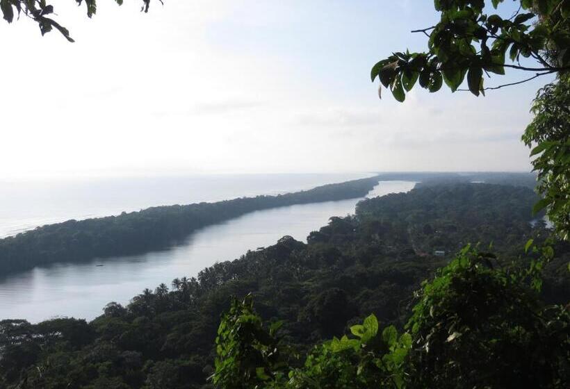 تختخواب و صبحانه Gecko De Tortuguero