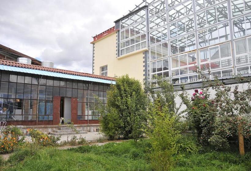 ユースホステル Shangri La Emma Inn