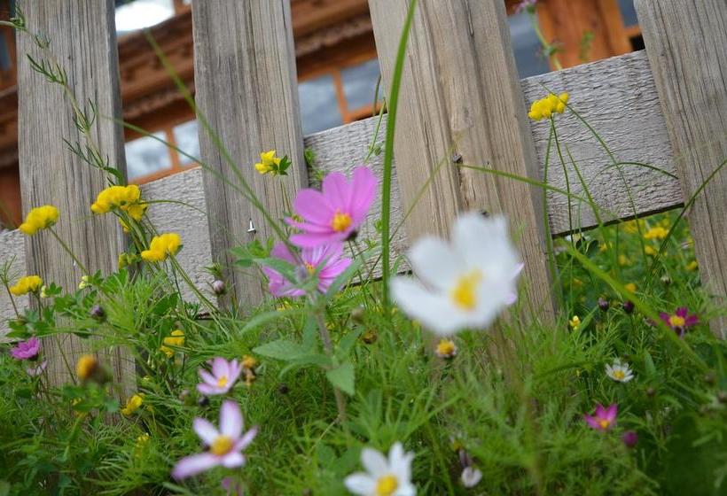 ユースホステル Shangri La Emma Inn