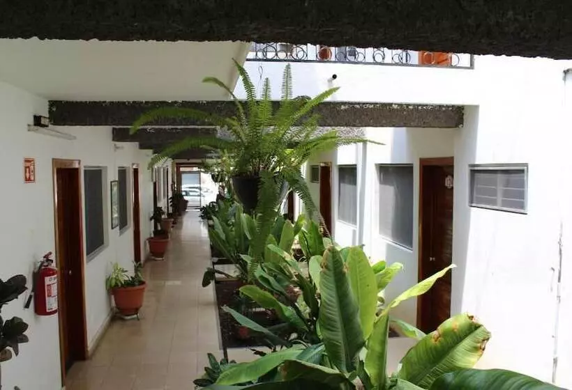 ホテル Casablanca Tuxtla