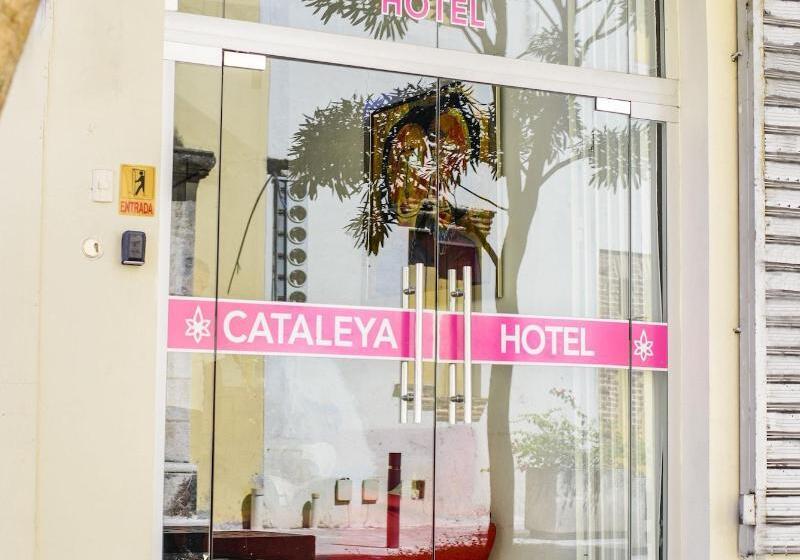 هتل Cataleya