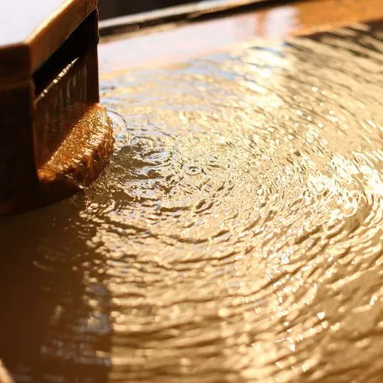 Ryokan Chigira Jinsentei