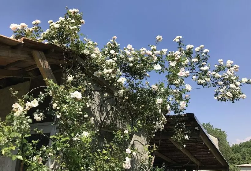 B&b By Lakes Orta Maggiore