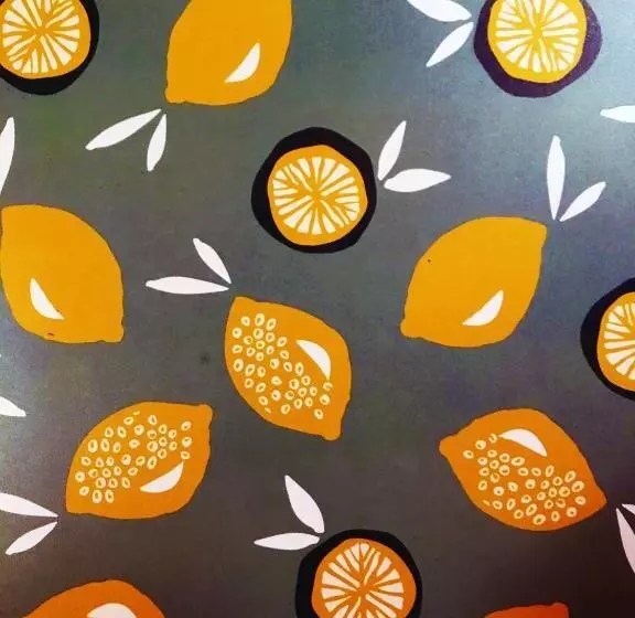 ベッドアンドブレックファースト Cytrus Rooms