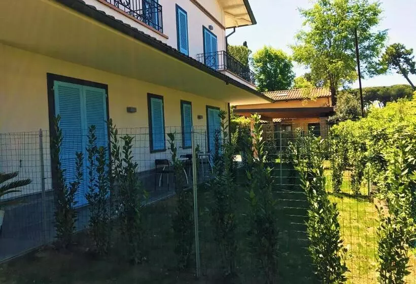 ベッドアンドブレックファースト Cytrus Rooms