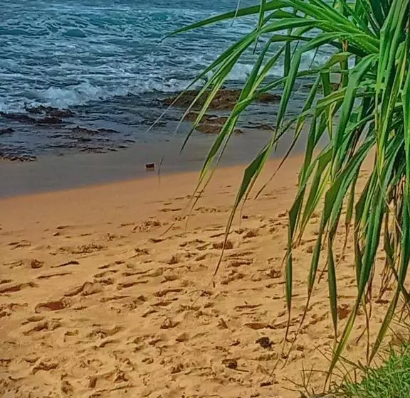 Aamiaismajoitus (B&B) Sandaru Surffing Inn
