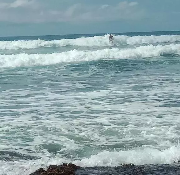 Aamiaismajoitus (B&B) Sandaru Surffing Inn
